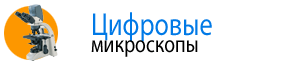 Цифровые